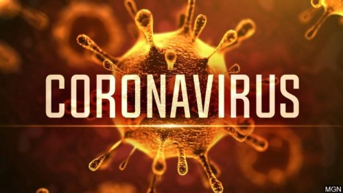 CORONA VIRUS AND FAMILY LAW ORDERS - Reasonable excuse for contravening an order